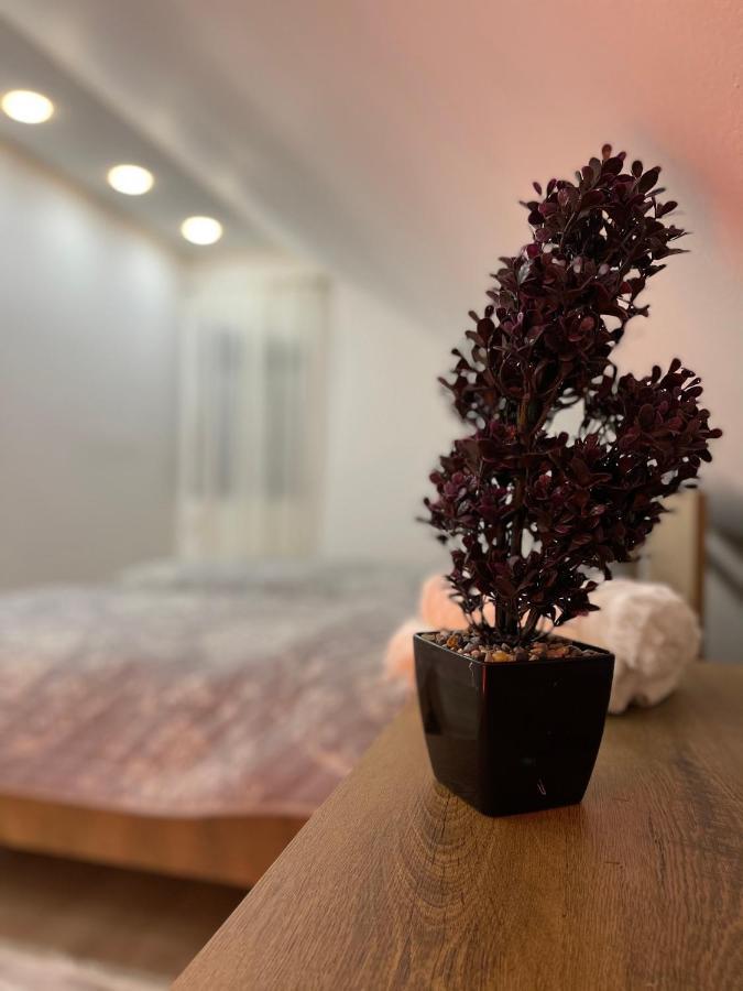 Luna Apartment Novi Pazar Eksteriør billede