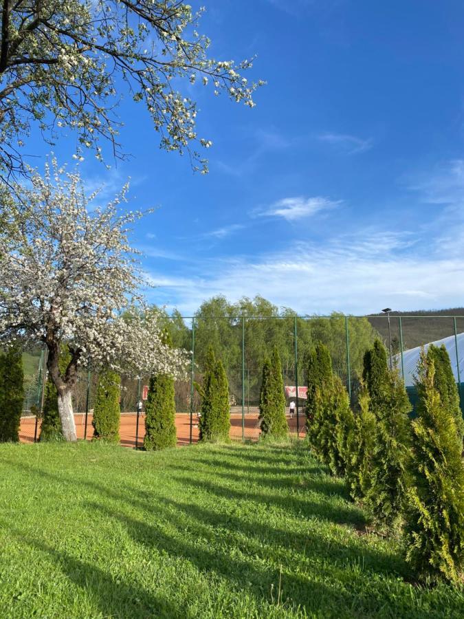 Luna Apartment Novi Pazar Eksteriør billede
